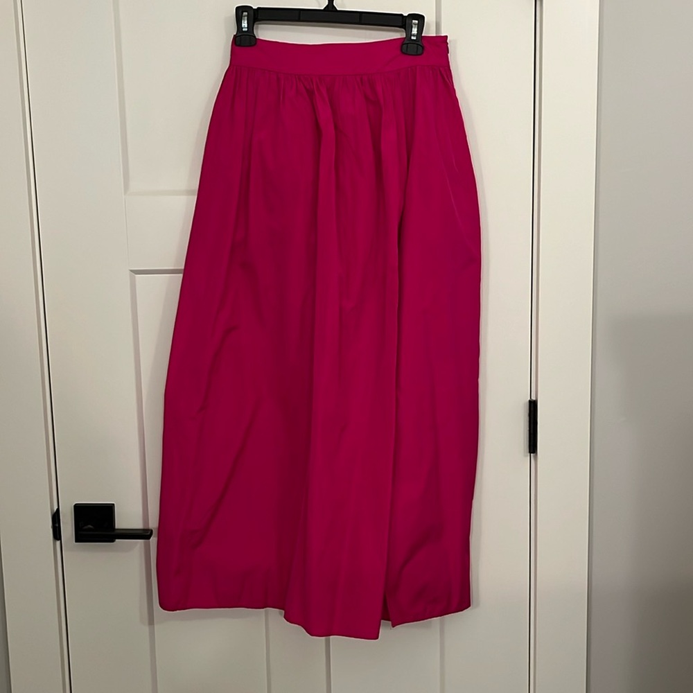 NWT Zara skirt